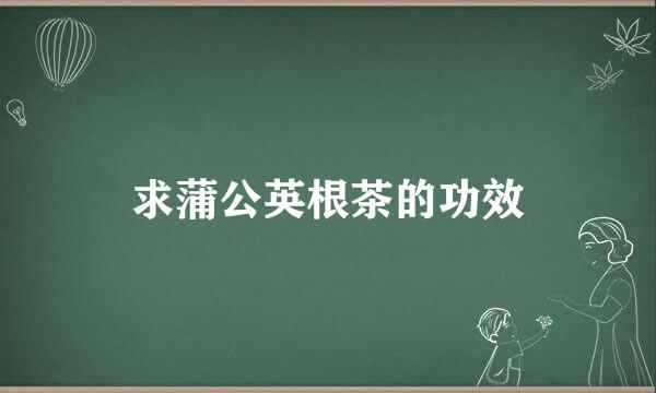 求蒲公英根茶的功效