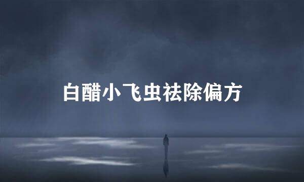 白醋小飞虫祛除偏方