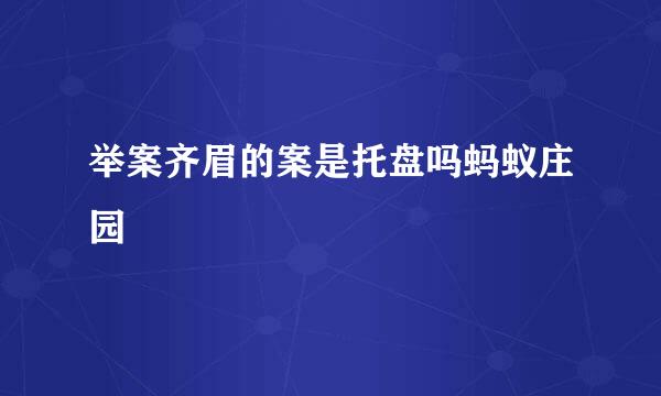 举案齐眉的案是托盘吗蚂蚁庄园