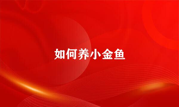 如何养小金鱼