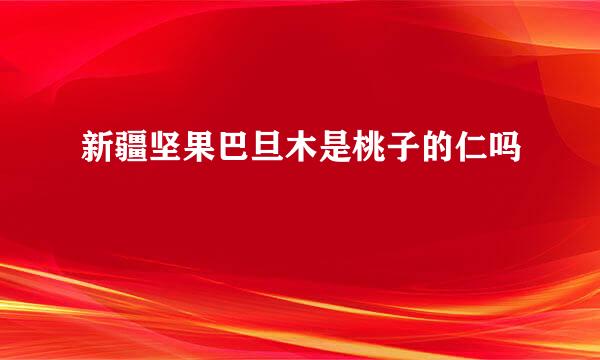 新疆坚果巴旦木是桃子的仁吗