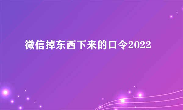 微信掉东西下来的口令2022