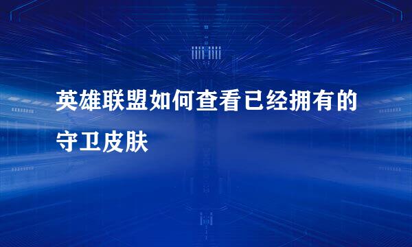 英雄联盟如何查看已经拥有的守卫皮肤