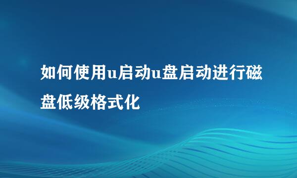如何使用u启动u盘启动进行磁盘低级格式化