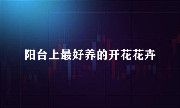 阳台上最好养的开花花卉