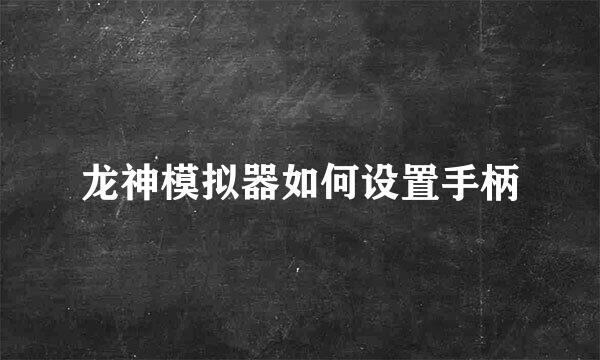 龙神模拟器如何设置手柄