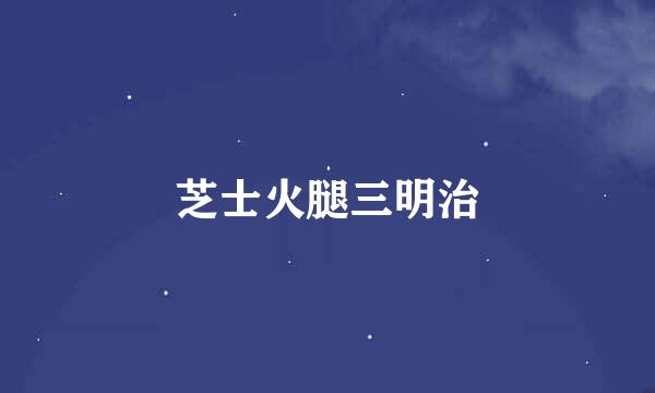 芝士火腿三明治