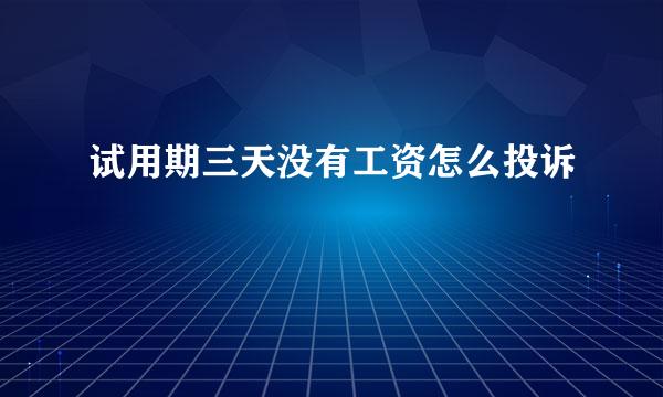 试用期三天没有工资怎么投诉