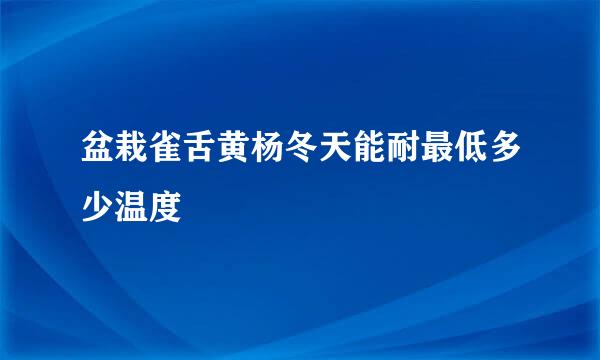 盆栽雀舌黄杨冬天能耐最低多少温度
