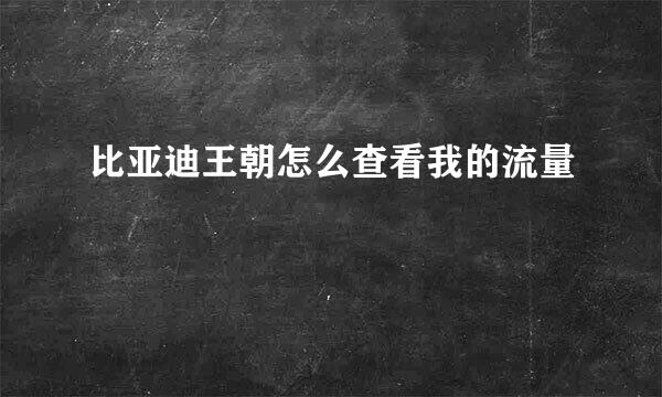 比亚迪王朝怎么查看我的流量