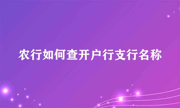 农行如何查开户行支行名称