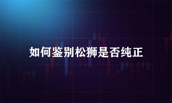 如何鉴别松狮是否纯正