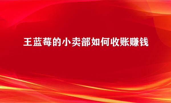 王蓝莓的小卖部如何收账赚钱