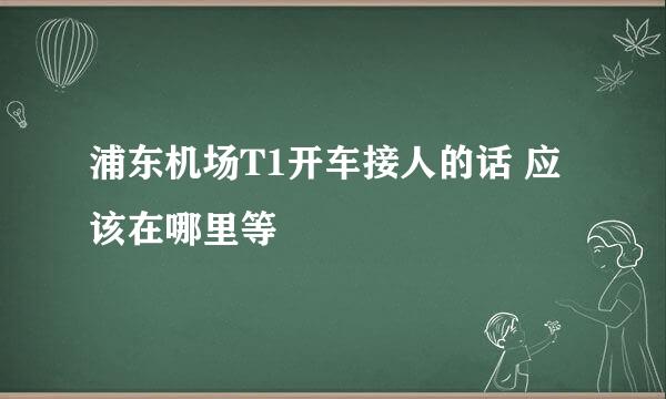 浦东机场T1开车接人的话 应该在哪里等