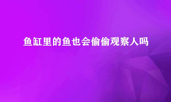 鱼缸里的鱼也会偷偷观察人吗