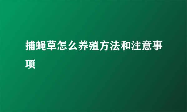 捕蝇草怎么养殖方法和注意事项