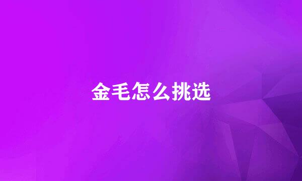 金毛怎么挑选