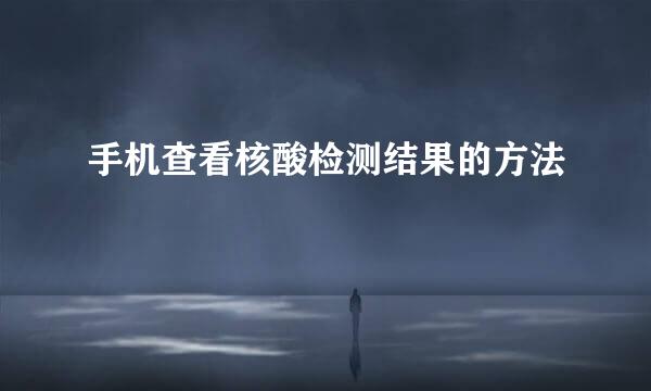 手机查看核酸检测结果的方法