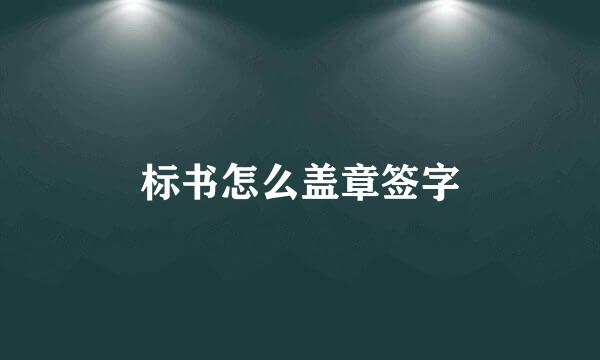 标书怎么盖章签字