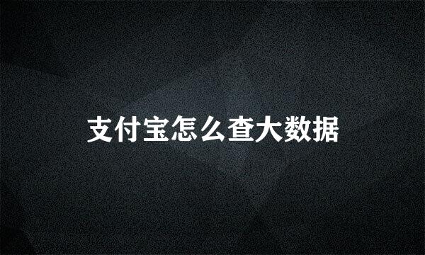 支付宝怎么查大数据