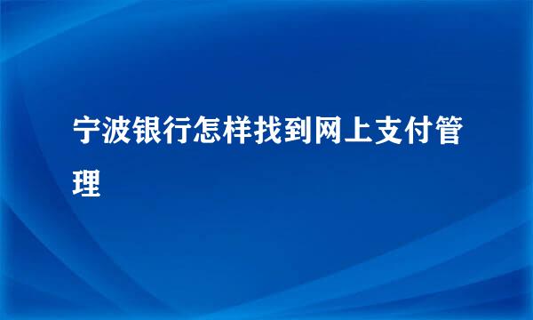 宁波银行怎样找到网上支付管理
