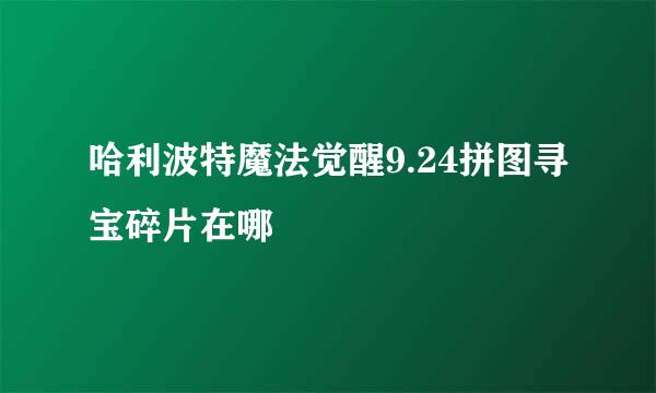 哈利波特魔法觉醒9.24拼图寻宝碎片在哪