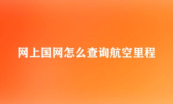 网上国网怎么查询航空里程