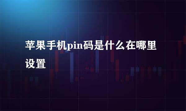 苹果手机pin码是什么在哪里设置