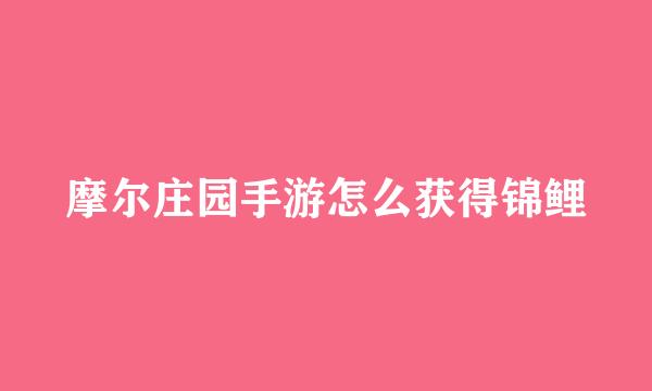 摩尔庄园手游怎么获得锦鲤