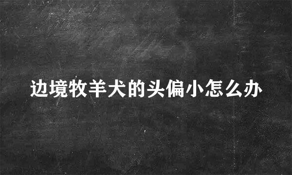 边境牧羊犬的头偏小怎么办