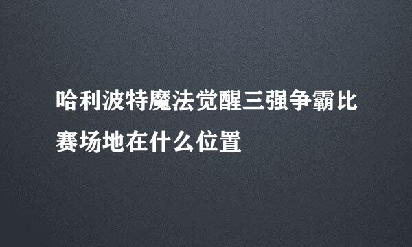 哈利波特魔法觉醒三强争霸比赛场地在什么位置