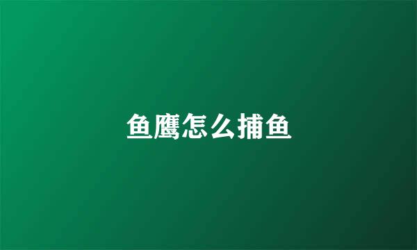 鱼鹰怎么捕鱼