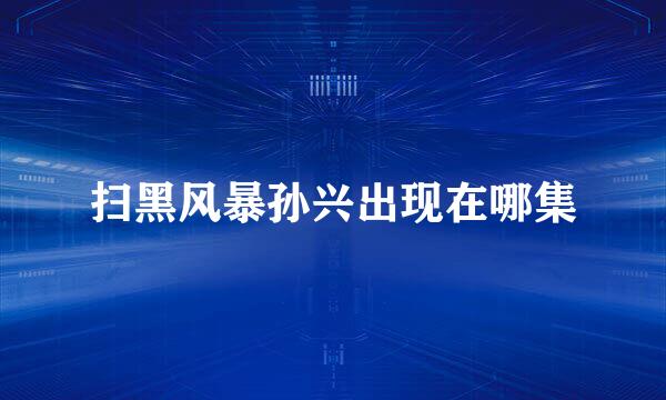 扫黑风暴孙兴出现在哪集