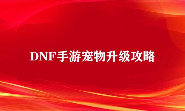 DNF手游宠物升级攻略