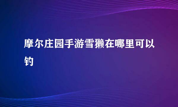 摩尔庄园手游雪獭在哪里可以钓