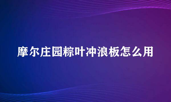 摩尔庄园粽叶冲浪板怎么用