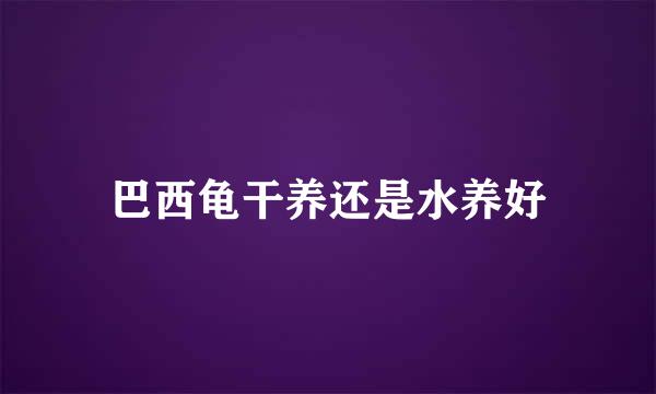 巴西龟干养还是水养好