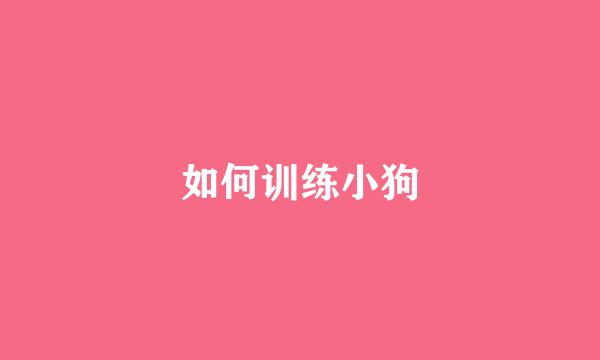 如何训练小狗