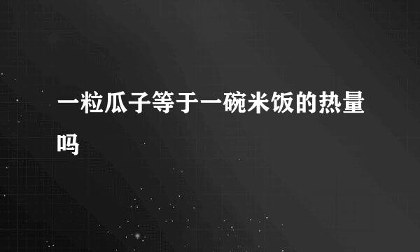 一粒瓜子等于一碗米饭的热量吗