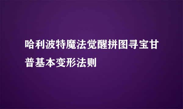 哈利波特魔法觉醒拼图寻宝甘普基本变形法则