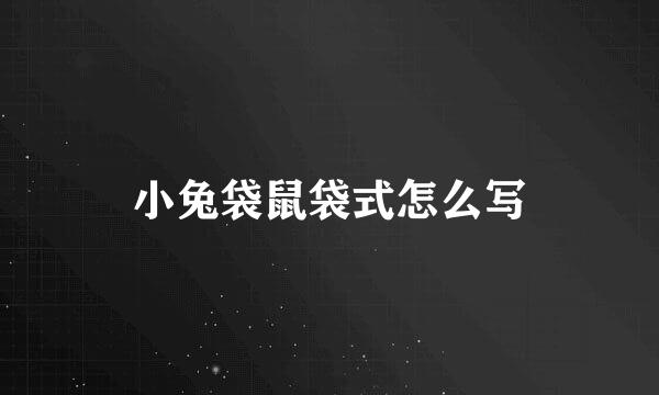小兔袋鼠袋式怎么写