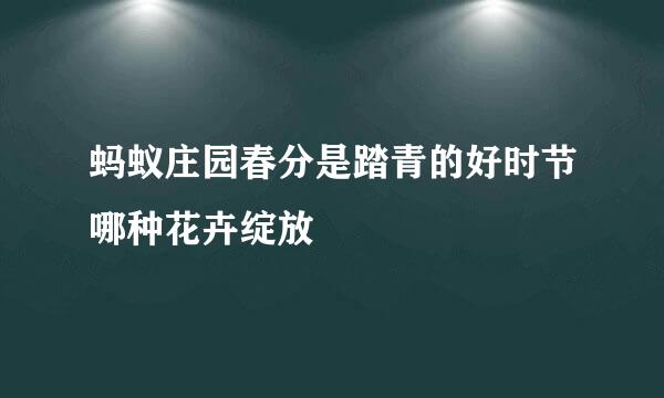 蚂蚁庄园春分是踏青的好时节哪种花卉绽放