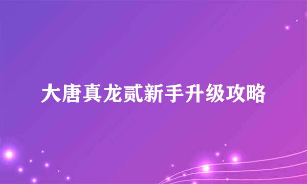 大唐真龙贰新手升级攻略