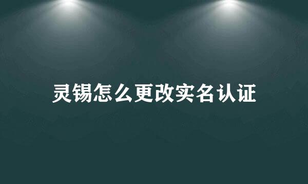 灵锡怎么更改实名认证