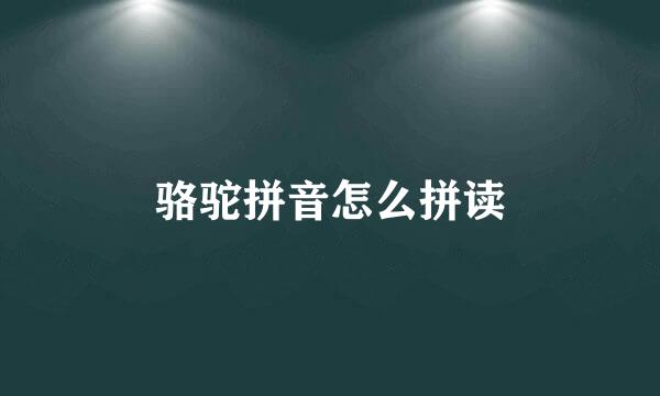 骆驼拼音怎么拼读