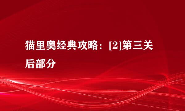 猫里奥经典攻略：[2]第三关后部分
