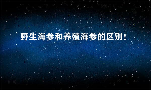 野生海参和养殖海参的区别！