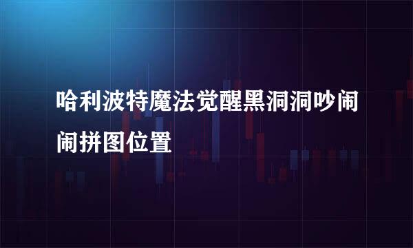 哈利波特魔法觉醒黑洞洞吵闹闹拼图位置
