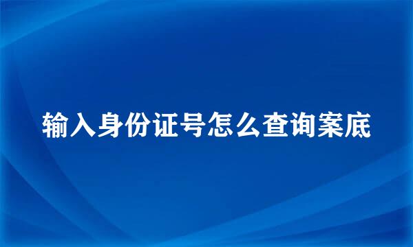 输入身份证号怎么查询案底