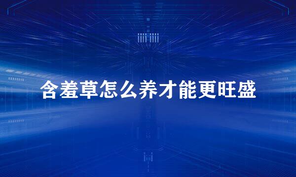含羞草怎么养才能更旺盛